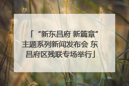 “新东昌府 新篇章”主题系列新闻发布会 东昌府区残联专场举行